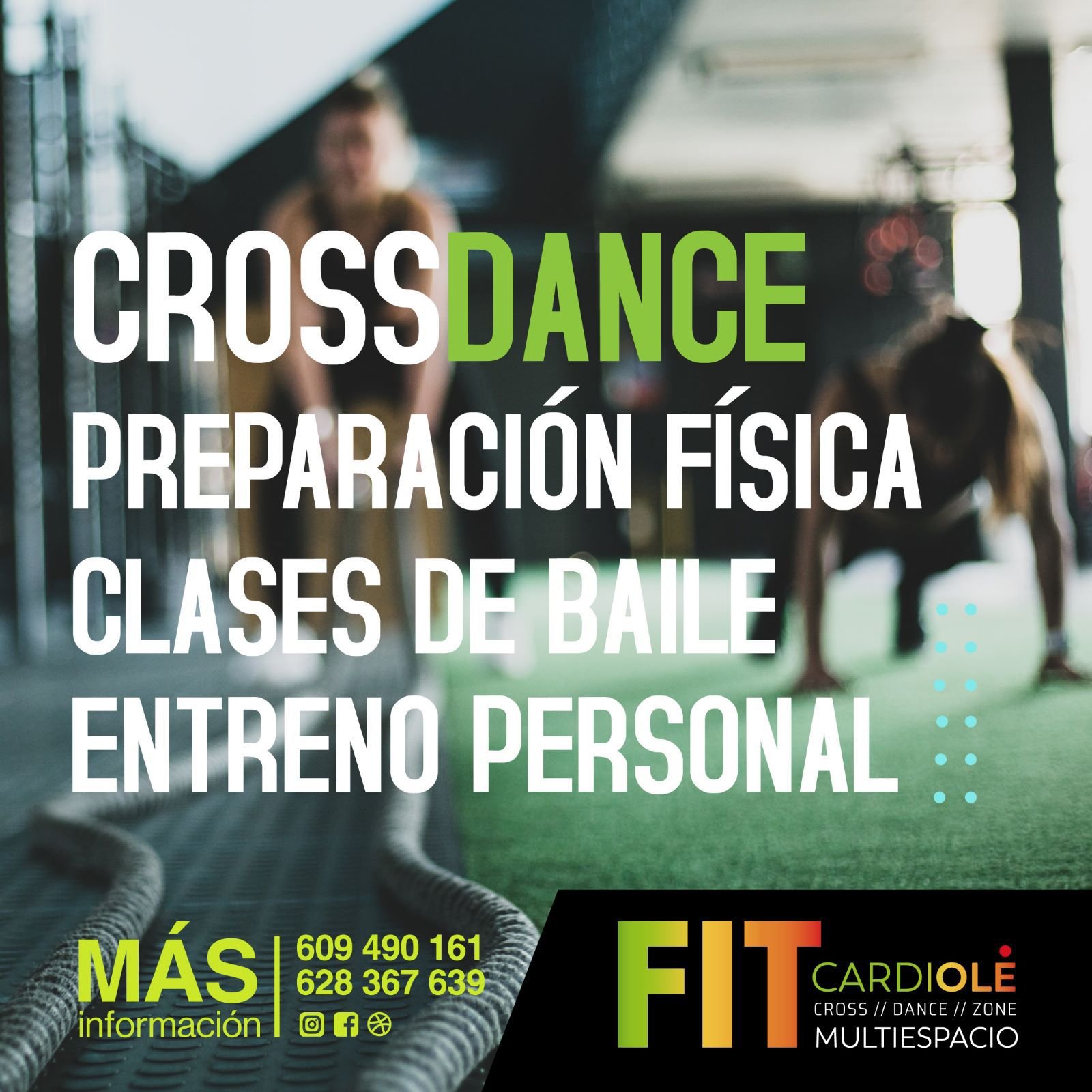 WhatsApp Image 2026-02-11 at 09.53.38 (1)