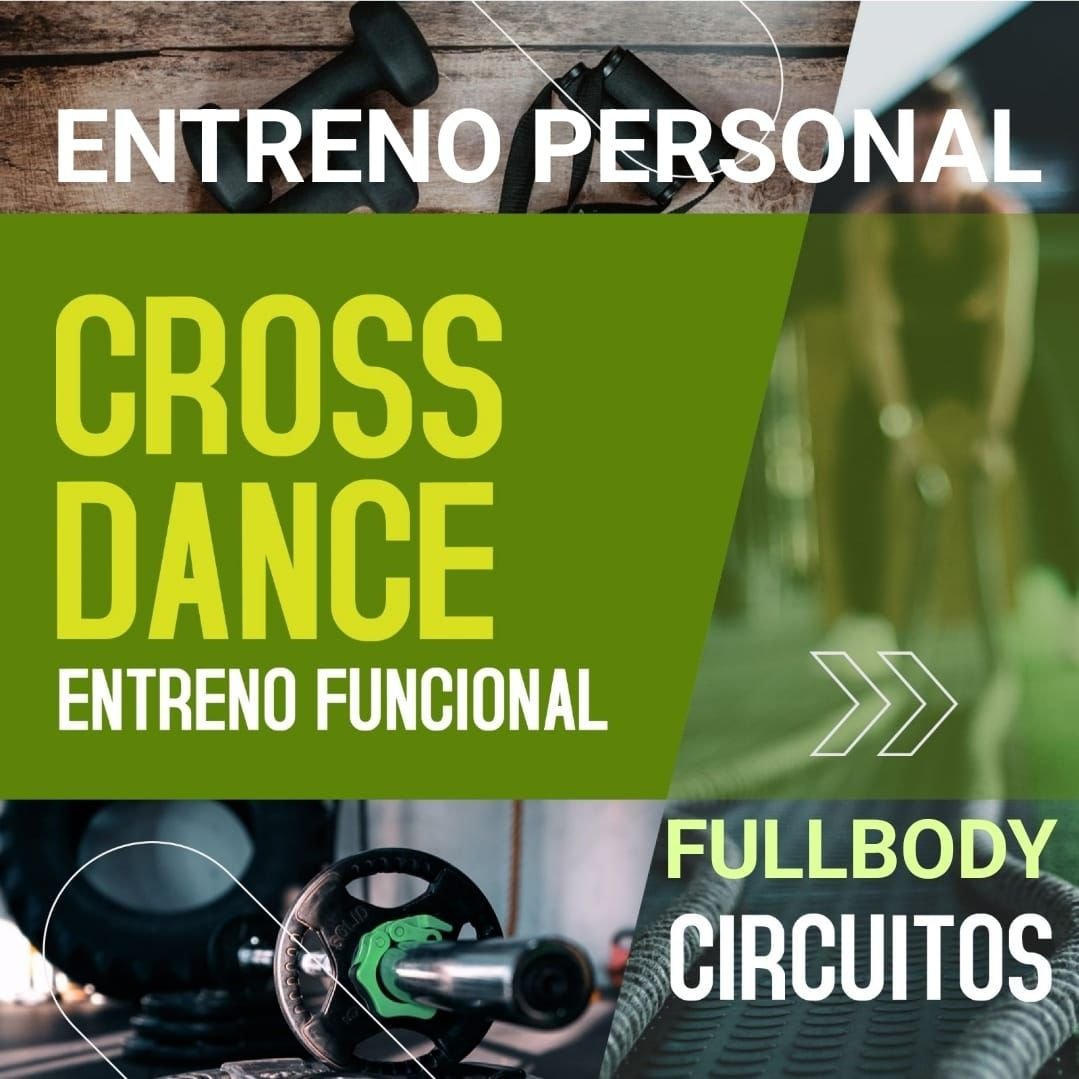 WhatsApp Image 2026-02-12 at 14.12.07